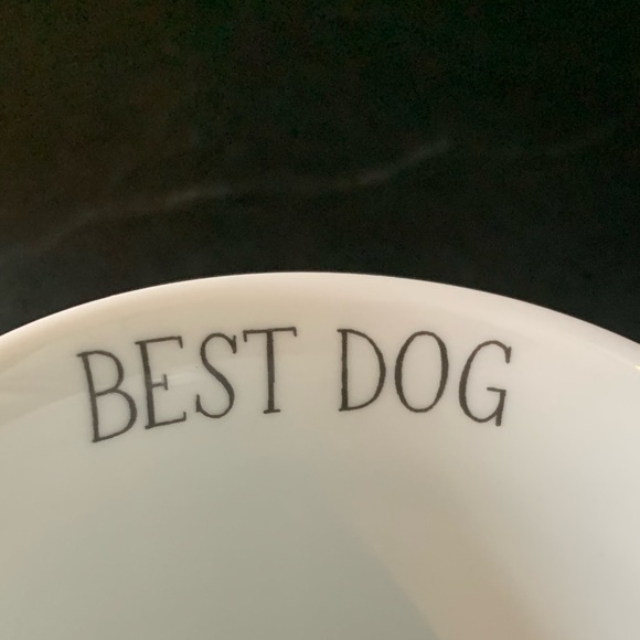 FRINGE STUDIO | Julianna Swaney | “Best Dog” Yellow Lab Mug - Picture 3 of 8